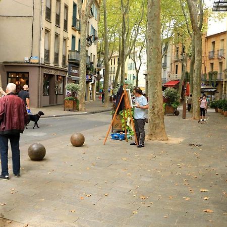 La Cigogne Apartment Céret Екстериор снимка