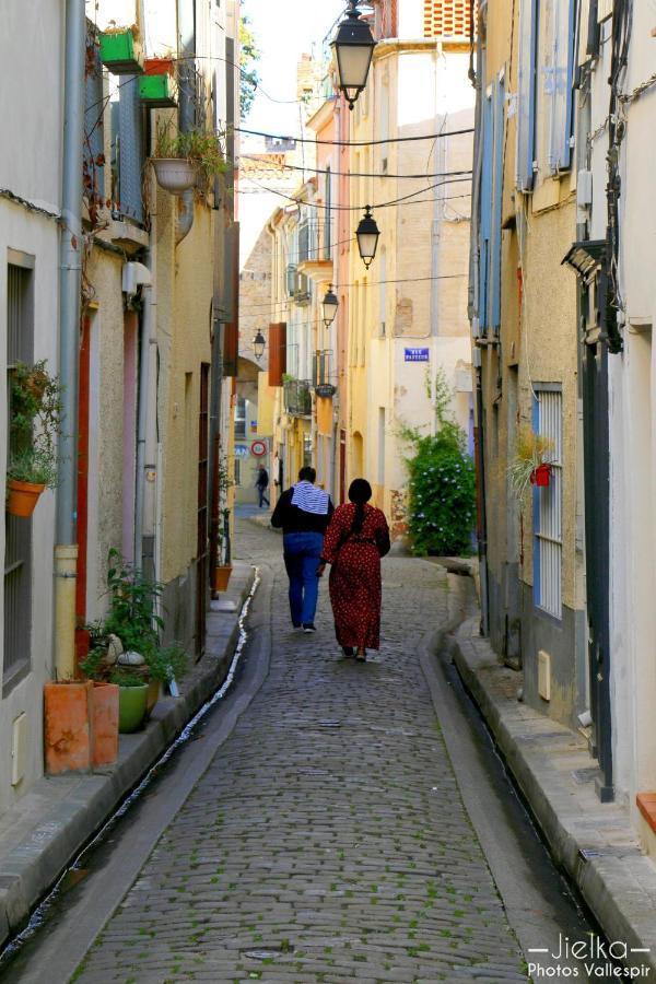 La Cigogne Apartment Céret Екстериор снимка