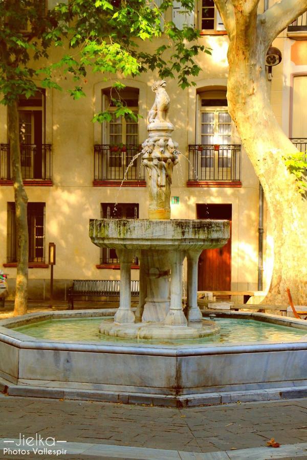 La Cigogne Apartment Céret Екстериор снимка