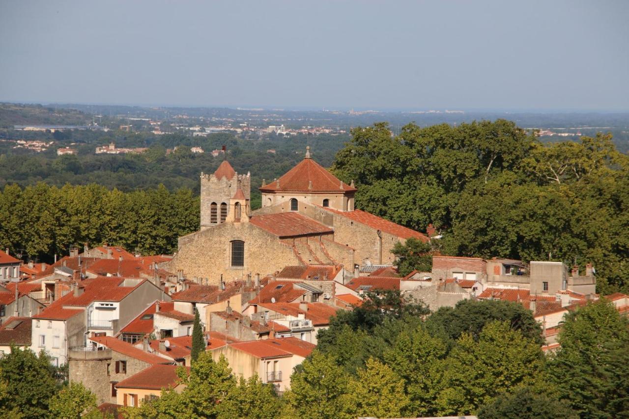La Cigogne Apartment Céret Екстериор снимка